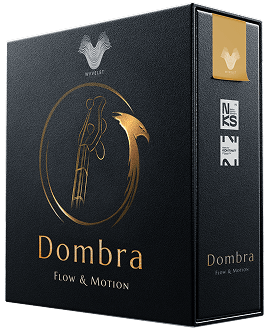 Flow Motion Dombra Box Flow Motion Dombra Box