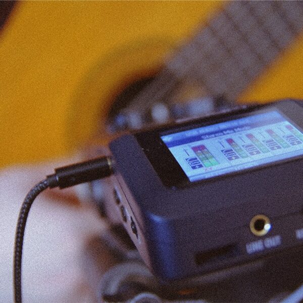 Deer Guitar Recording 02