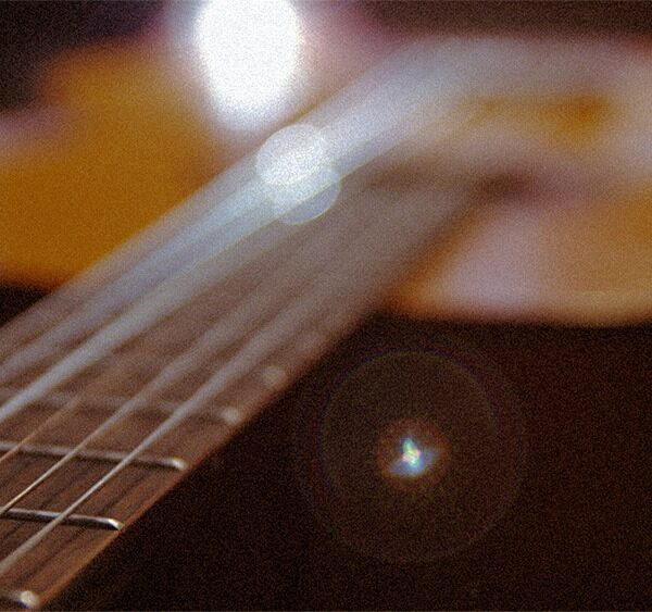 Deer Guitar Recording 01